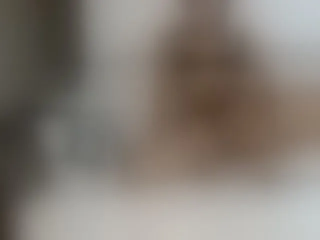 Live sex webcam photo for vanessa-aniston #293192060