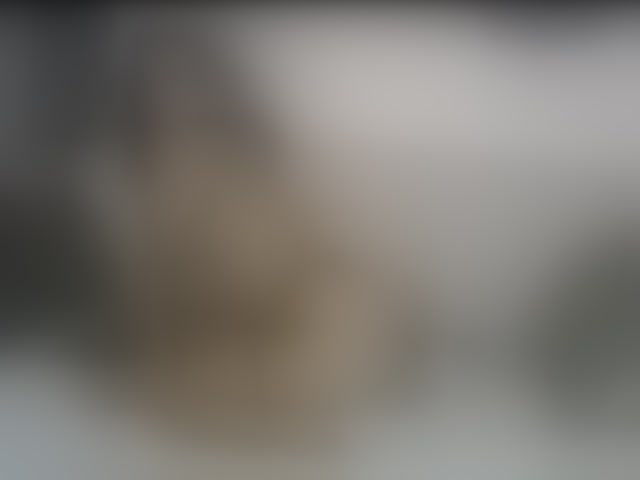 Live sex webcam photo for vanessa-aniston #293706087