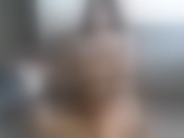 Live sex webcam photo for vanessa-aniston #294125876