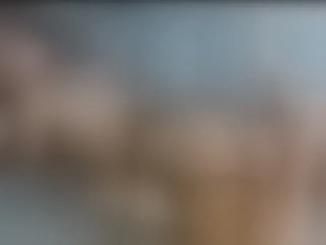 Live sex webcam photo for vanessa-aniston #294185054