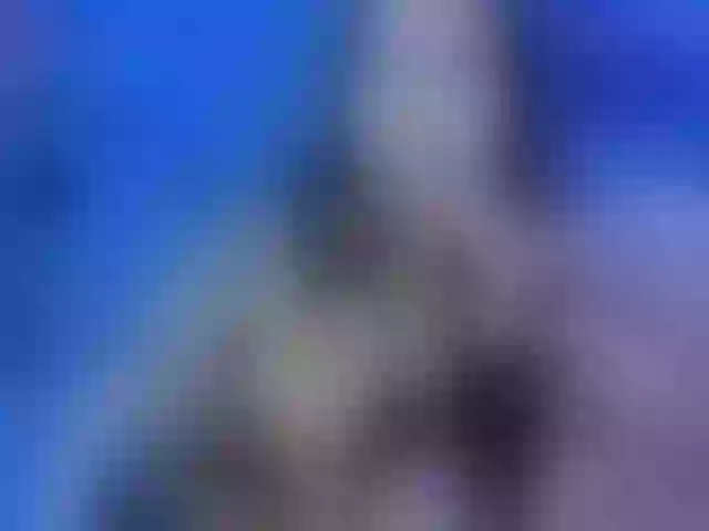 Live sex webcam photo for vanessa1pvbh #285827936