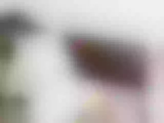 Live sex webcam photo for vanessaasquirt #292260079
