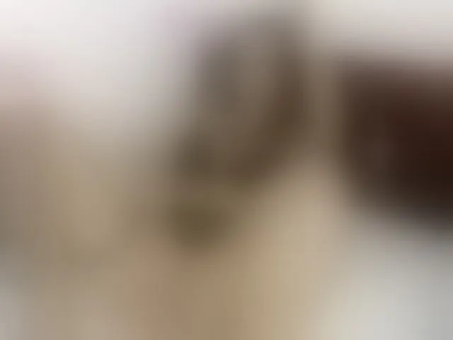 Live sex webcam photo for vanessaasquirt #292506502