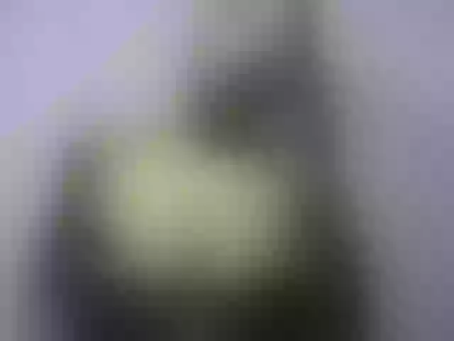 Live sex webcam photo for vanesslove #288117513