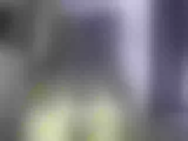 Live sex webcam photo for vanesslove #289460378