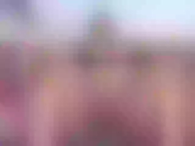 Live sex webcam photo for vanewilss1 #290661633
