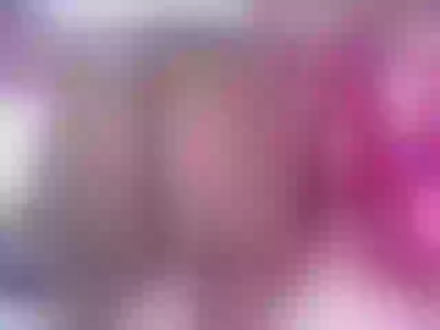 Live sex webcam photo for vanewilss1 #290879912
