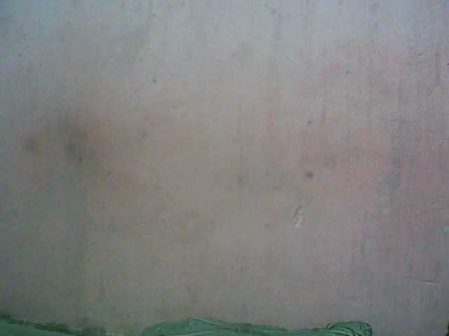 Live sex webcam photo for vanishahot #277828942