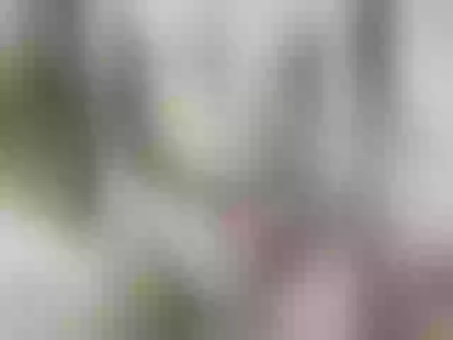 Live sex webcam photo for vch69- #291277576