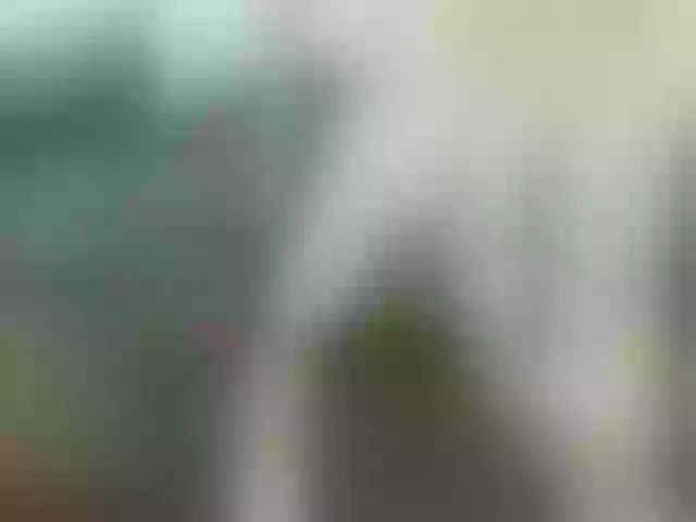 Live sex webcam photo for vch69- #291479137