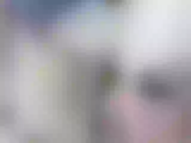 Live sex webcam photo for veeronica-smith #291975723