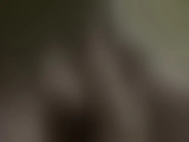 Live sex webcam photo for velaskesssz #293388414