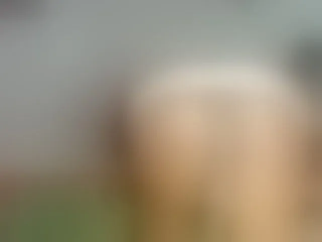 Live sex webcam photo for vicky-hot #293640402