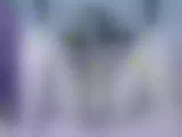 Live sex webcam photo for vicky-wonter #291284162