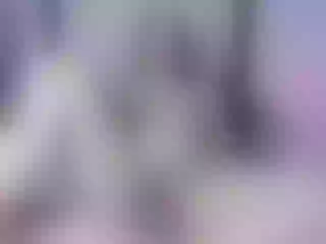 Live sex webcam photo for vicky-wonter #291668442