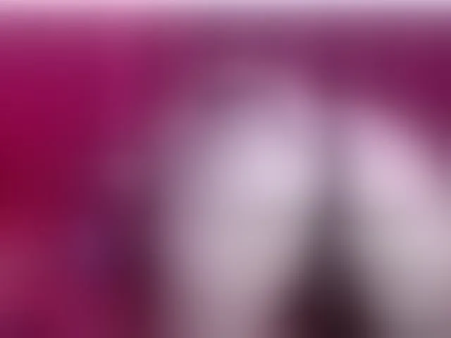 Live sex webcam photo for vicky94x #292034159