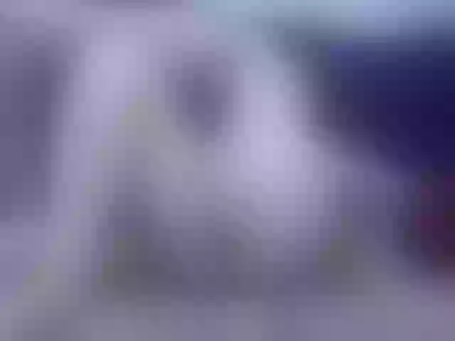 Live sex webcam photo for vickycute52 #290651391