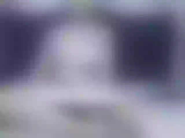 Live sex webcam photo for vickycute52 #290738058