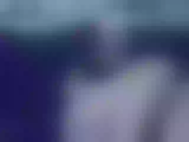 Live sex webcam photo for vickycute52 #291414427