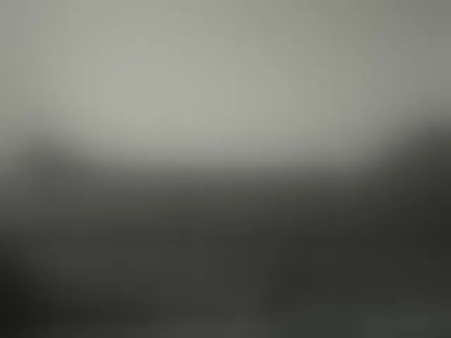 Live sex webcam photo for victoria-d-minds #293771418