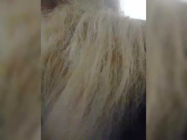 Live sex webcam photo for victoria71 #291166191