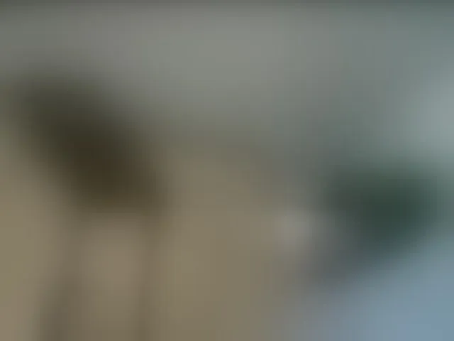Live sex webcam photo for victoriablack #293100805