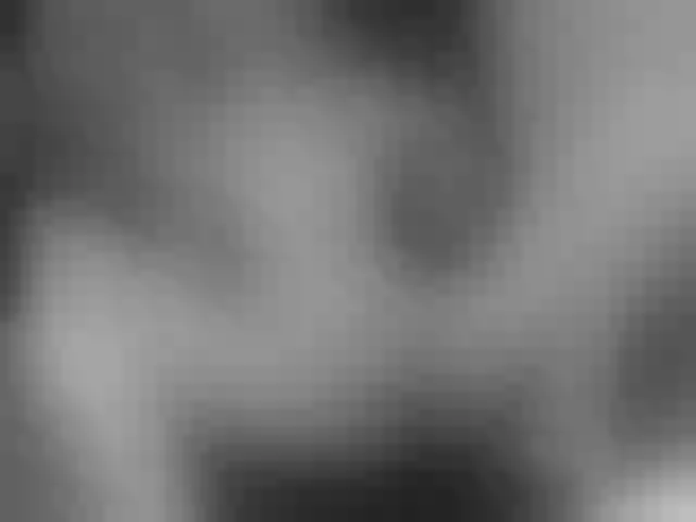 Live sex webcam photo for vikasport #273034858