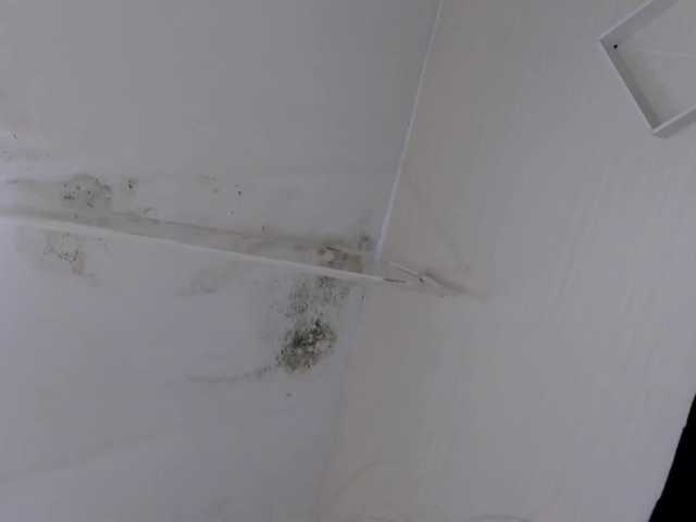 Live sex webcam photo for viki16- #275545190