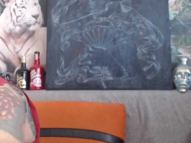 Live sex webcam photo for viking-me #290452722