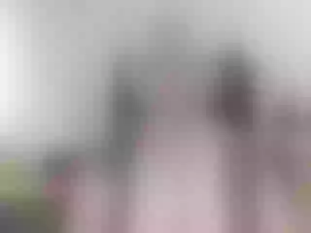 Live sex webcam photo for violet51 #278245127