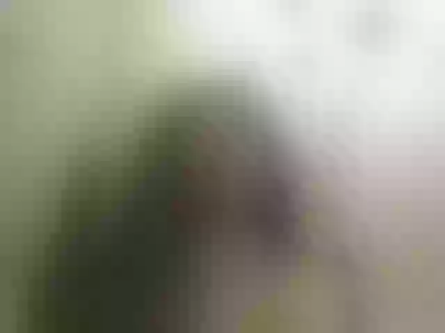 Live sex webcam photo for vipbrunetka #292118859