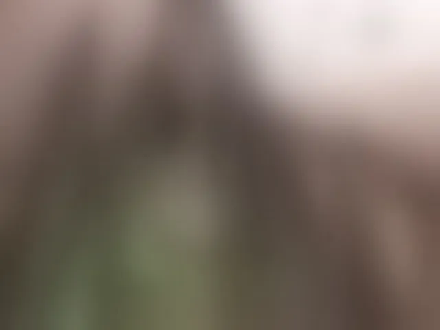 Live sex webcam photo for vipbrunetka #293652680