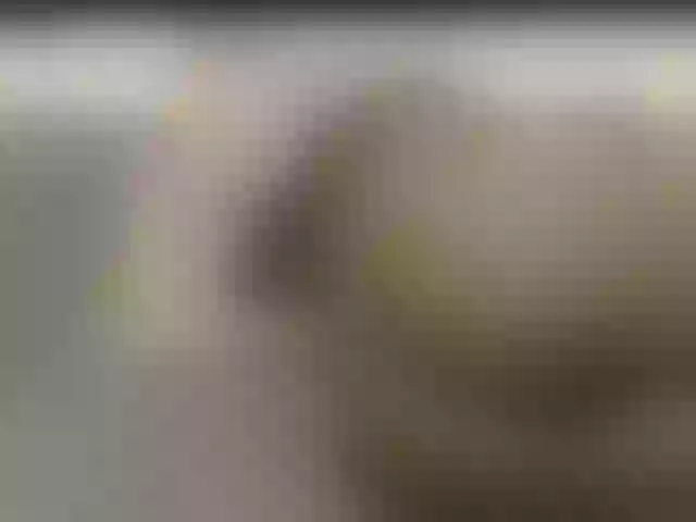 Live sex webcam photo for vivi-cooper #276628979