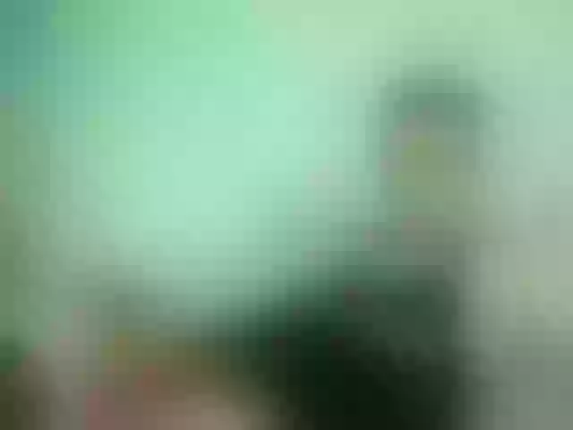 Live sex webcam photo for vladcat23 #273451132