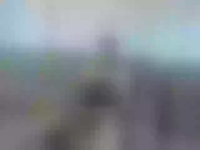 Live sex webcam photo for vladcat23 #277029973