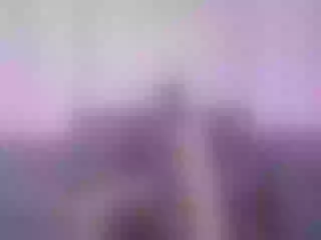 Live sex webcam photo for vladcat23 #277264358