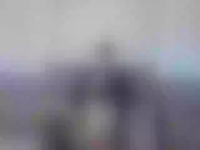 Live sex webcam photo for vladcat23 #277395990