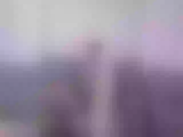 Live sex webcam photo for vladcat23 #277437511