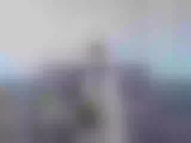 Live sex webcam photo for vladcat23 #277510189