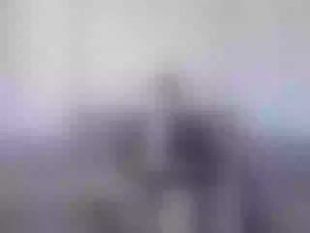 Live sex webcam photo for vladcat23 #277691203