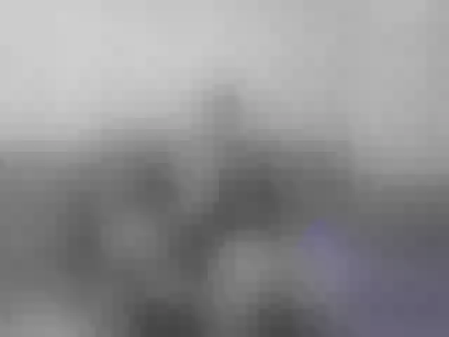 Live sex webcam photo for vladcat23 #277765619