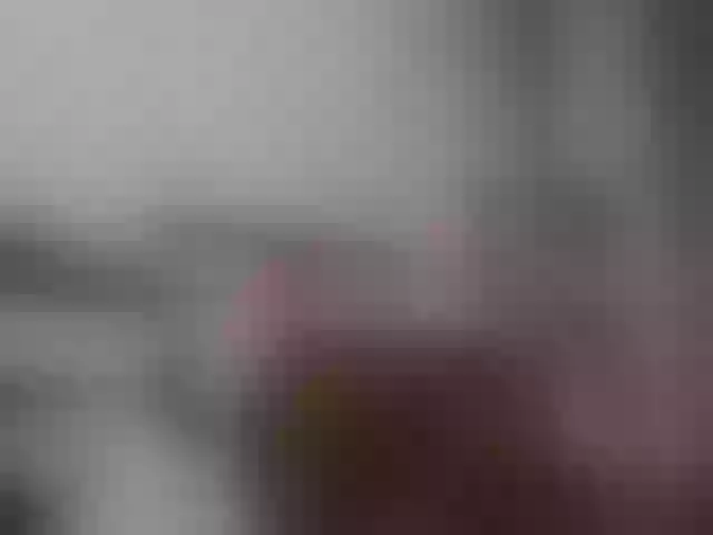 Live sex webcam photo for vladcat23 #292236565