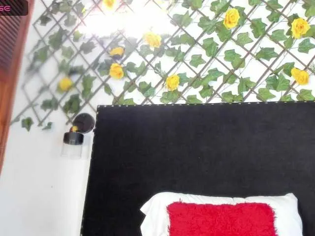 Live sex webcam photo for vmiajonsonper #291744343