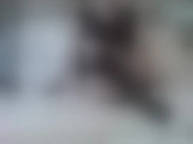 Live sex webcam photo for volturi66- #293568372