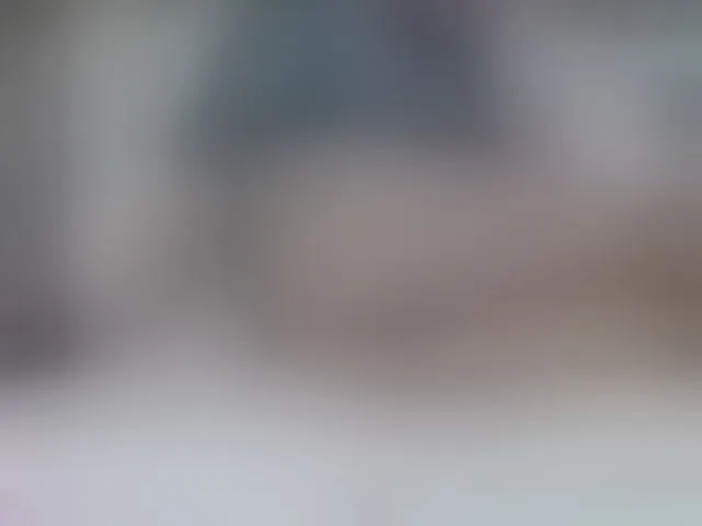 Live sex webcam photo for volturi66- #293699316