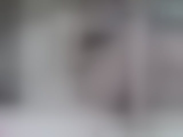 Live sex webcam photo for volturi66- #294028966