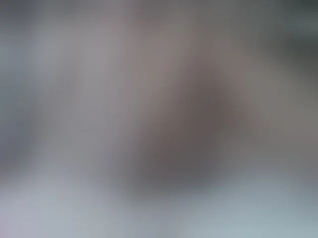 Live sex webcam photo for volturi66- #294131360