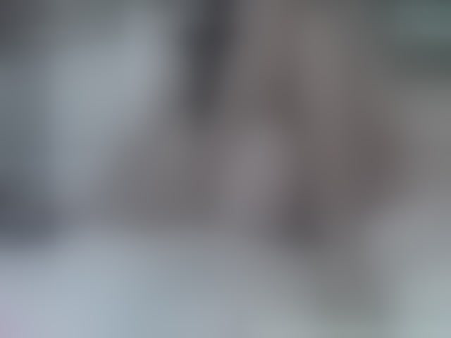 Live sex webcam photo for volturi66- #294166787