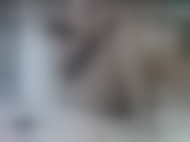 Live sex webcam photo for volturi66- #294187284