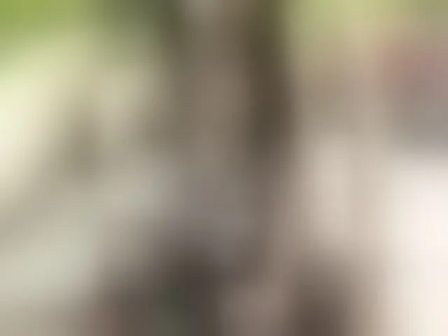Live sex webcam photo for wettt12910 #293996811